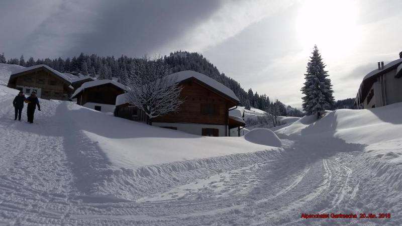 Alpenchalet Garfrescha Villa Sankt Gallenkirch Exterior photo